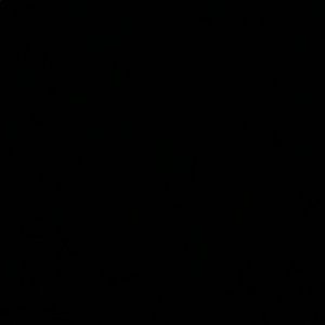 Meet your Posher, Jasper